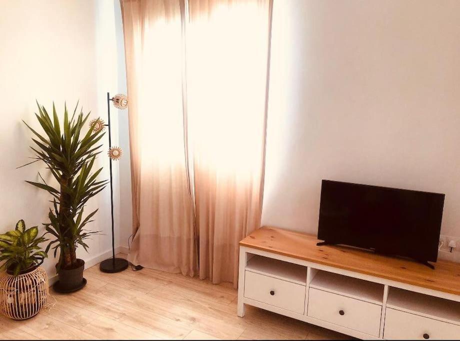 Ferienwohnung Disfruta, Nuevo En Mentidero Cádiz Exterior foto